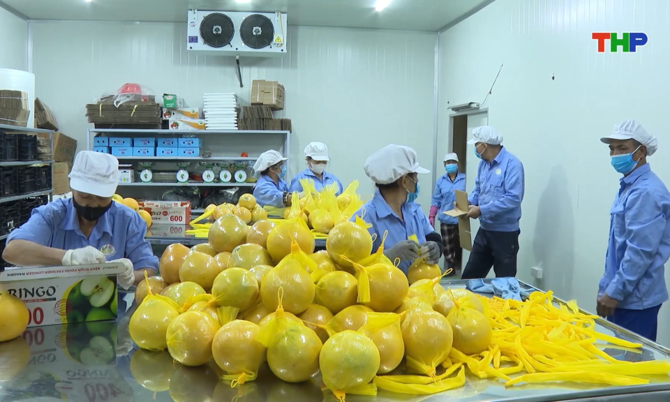 Kết nối ti&ecirc;u thụ sản phẩm n&ocirc;ng, l&acirc;m, thủy sản