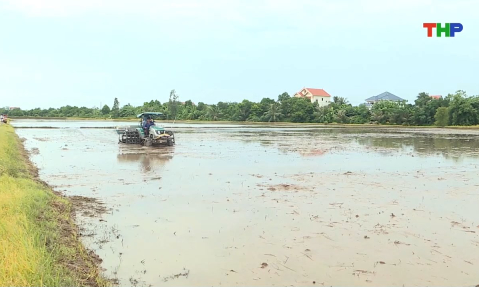 Bản tin thời sự trưa (18/07/2026)