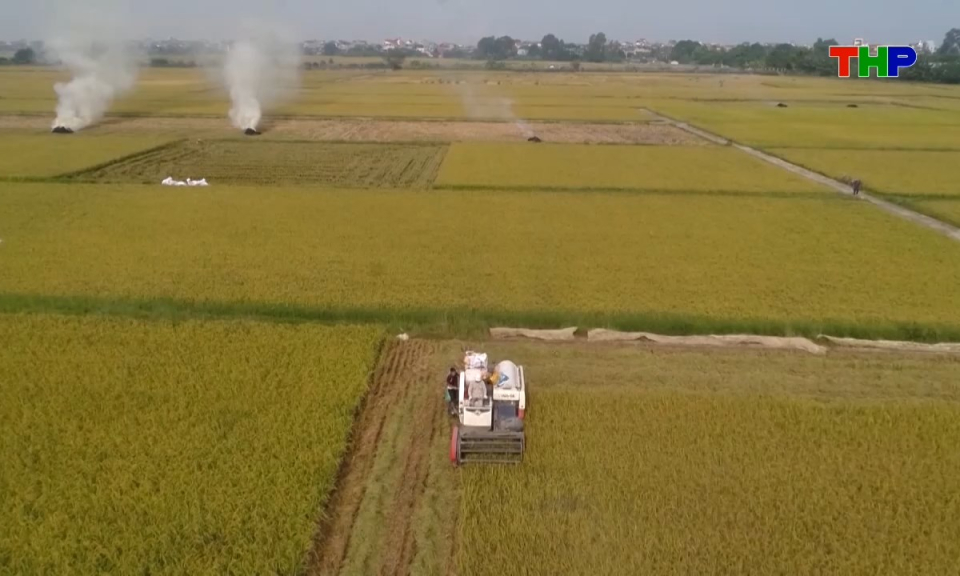 Ch&iacute;nh s&aacute;ch ph&aacute;p luật: Đẩy mạnh chuyển đổi xanh n&ocirc;ng nghiệp