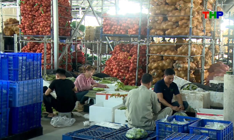 Bản tin tiếng Anh - Hai Phong News (19/07/2026)