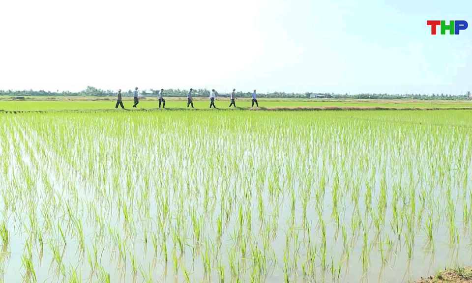 Bản tin thời sự 17h00 (19/07/2026)