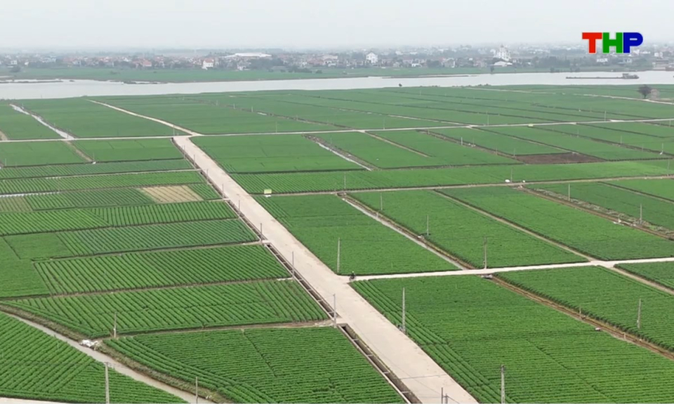 Nhịp sống 24h (20/07/2026)