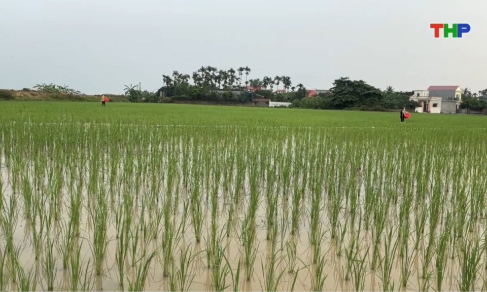 Nhịp sống 24h (22/07/2026)