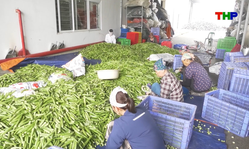 Th&uacute;c đẩy li&ecirc;n kết, n&acirc;ng cao gi&aacute; trị n&ocirc;ng sản 