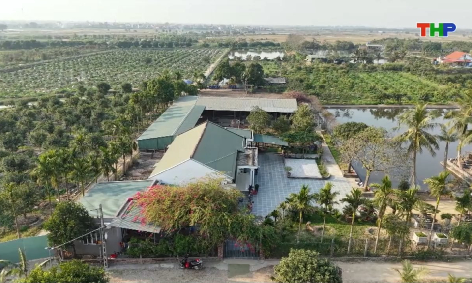 Nhịp sống 24h (24/07/2026)