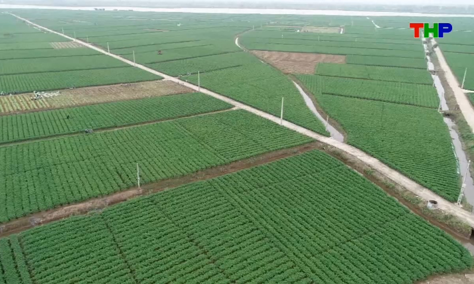 Bản tin tiếng Trung - 海防新闻 (24/07/2026)