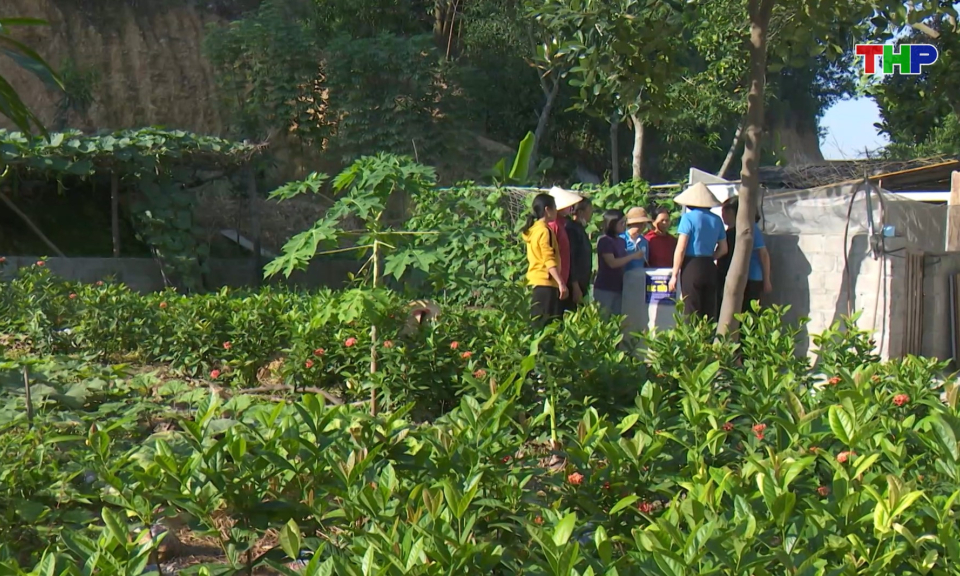 Bản tin thời sự 17h00 (25/07/2026)