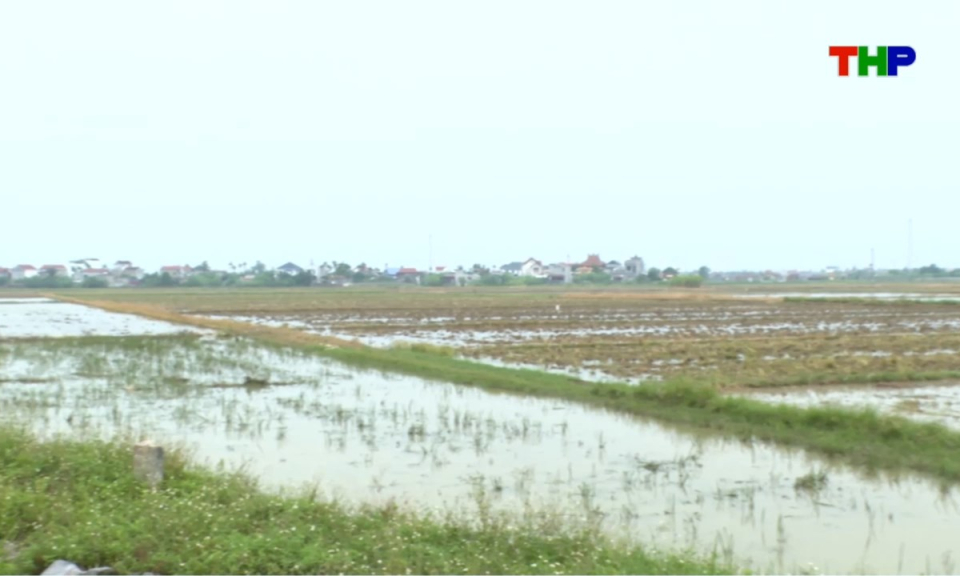 Bản tin thời sự s&aacute;ng (26/07/2025)