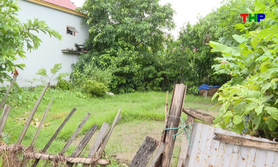 Hộp thư truyền h&igrave;nh: Hai hộ d&acirc;n tranh chấp đất: C&aacute;c b&ecirc;n c&oacute; thể khởi kiện ra t&ograve;a &aacute;n
