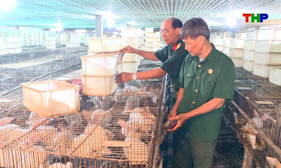 N&ocirc;ng th&ocirc;n mới Hải Ph&ograve;ng: Những người l&iacute;nh với kh&aacute;t vọng l&agrave;m gi&agrave;u từ đồng đất qu&ecirc; hương