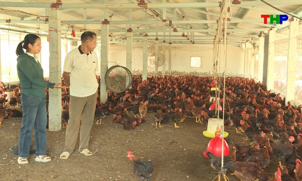 Tăng cường &aacute;p dụng an to&agrave;n sinh học trong chăn nu&ocirc;i