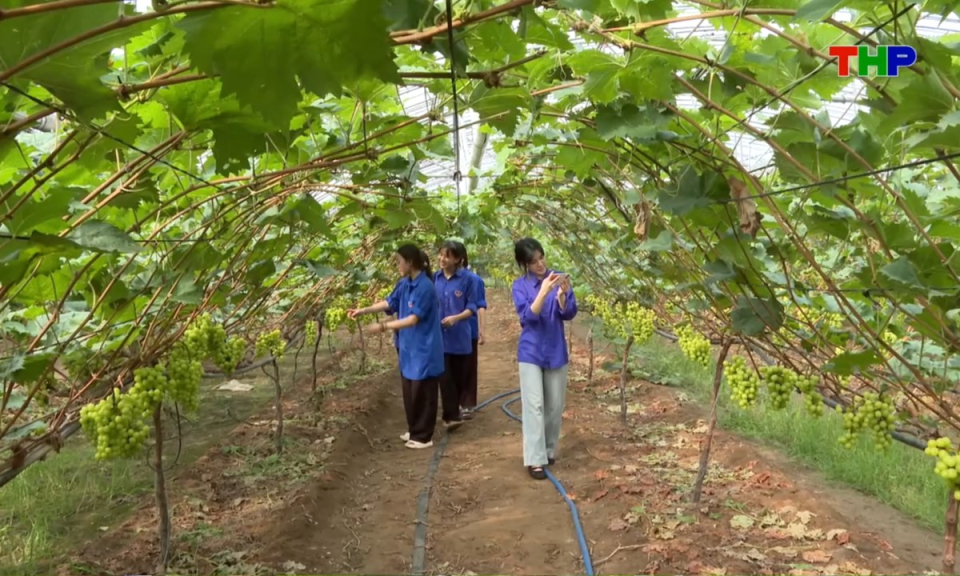 Nhịp sống 24h (01/08/2026)