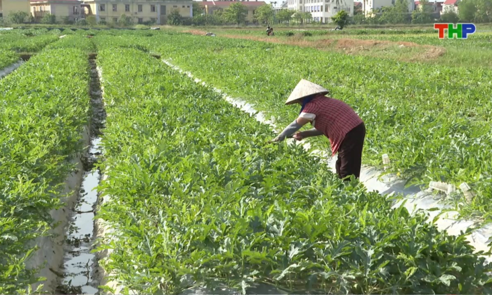 Nhịp sống 24h (03/08/2026)