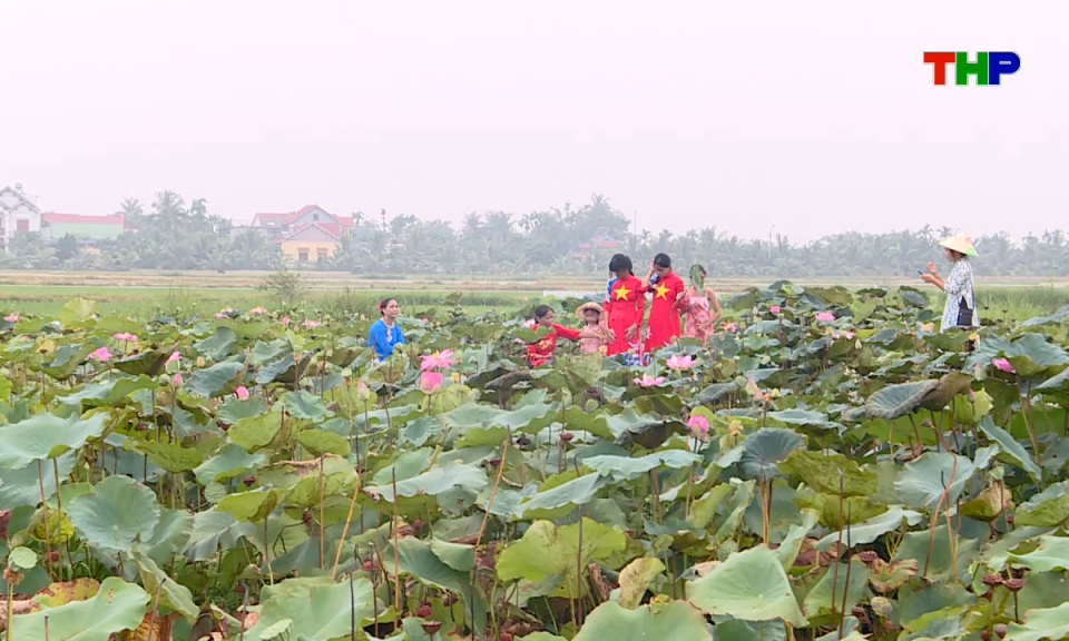 N&ocirc;ng th&ocirc;n mới Hải Ph&ograve;ng: Th&uacute;c đẩy ph&aacute;t triển du lịch sinh th&aacute;i gắn với chuyển đổi số v&agrave; du lịch n&ocirc;ng th&ocirc;n