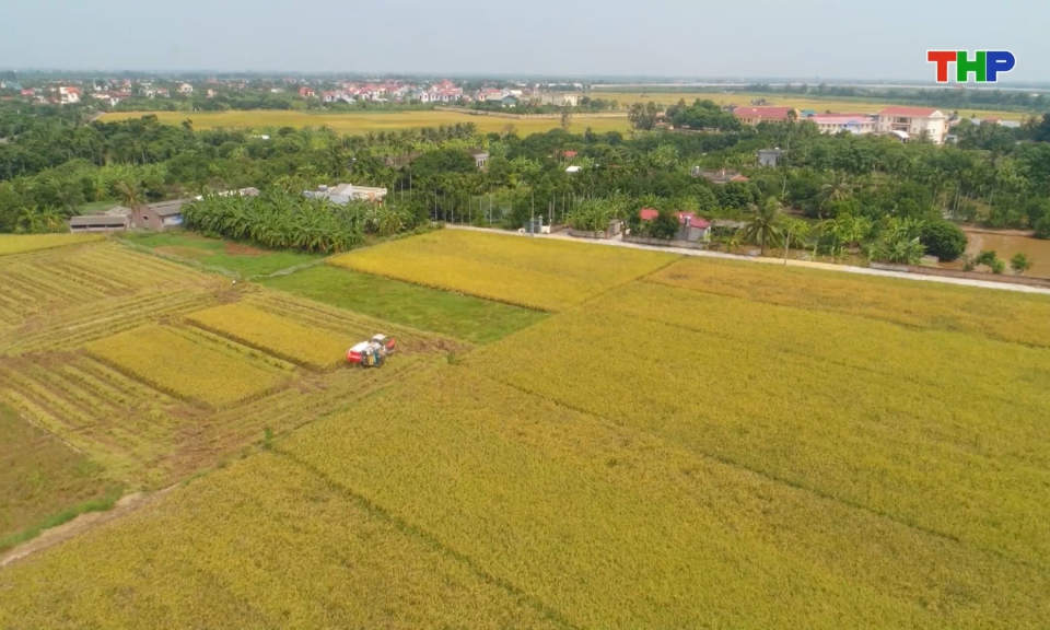 Hiệu quả ứng dụng cơ giới h&oacute;a trong sản xuất n&ocirc;ng nghiệp