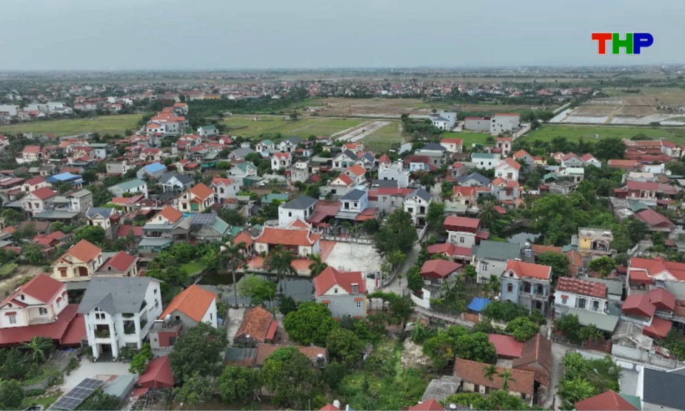 Nhịp sống 24h (04/08/2026)