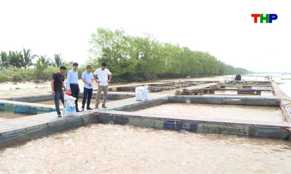 Bản tin thời sự s&aacute;ng (06/08/2026)