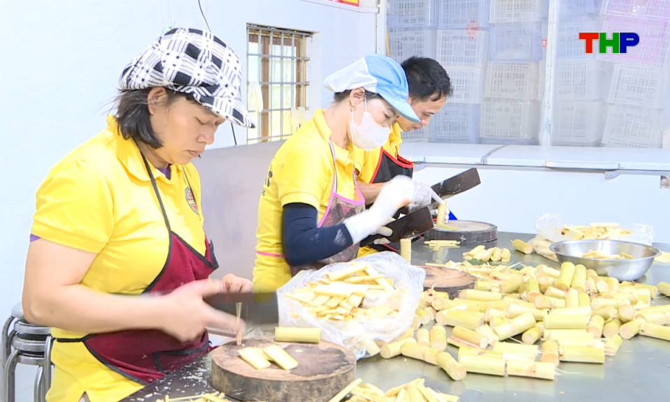 Kinh tế v&agrave; đ&ocirc; thị: Kinh tế tập thể: N&acirc;ng tầm sản phẩm địa phương