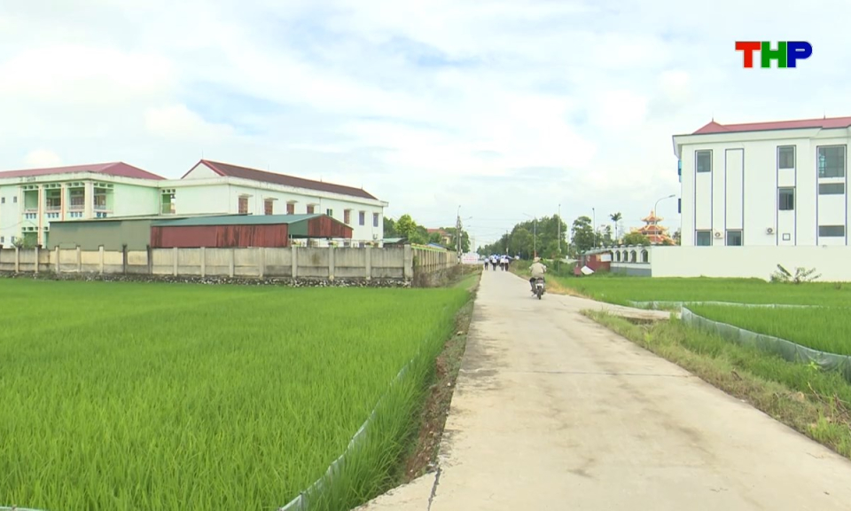 Bản tin tiếng Anh - Hai Phong News (08/08/2026)