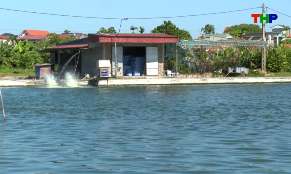 Nhịp sống 24h (09/08/2026)