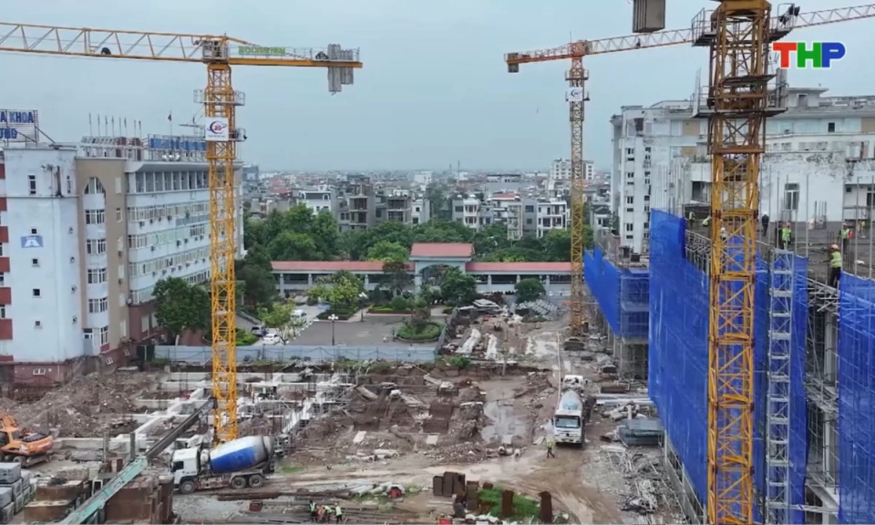 Nhịp sống 24h (11/08/2026)