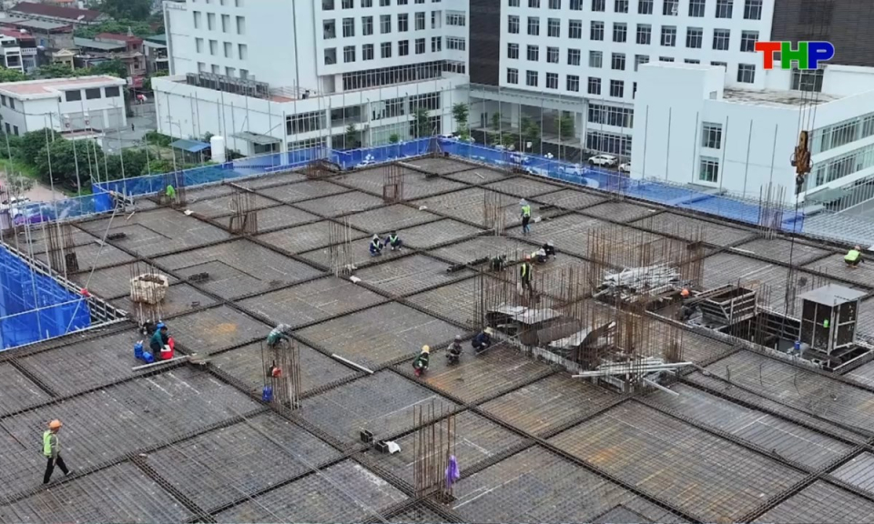 10 ph&uacute;t v&agrave;ng (11/08/2026)