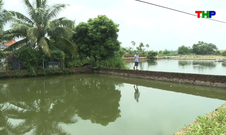 Bản tin tiếng Anh - Hai Phong News (11/08/2026)