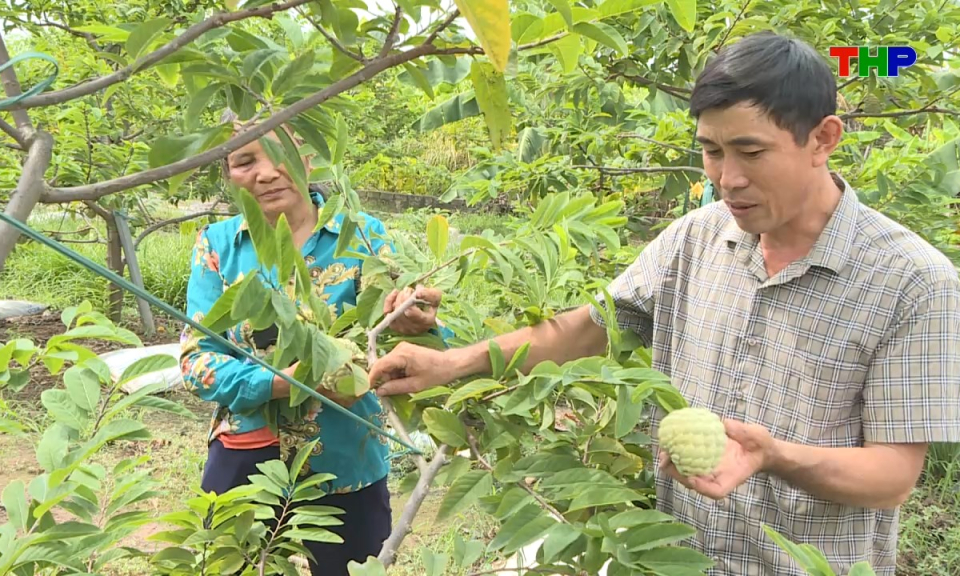 N&ocirc;ng th&ocirc;n mới Hải Ph&ograve;ng: B&agrave;i to&aacute;n ph&aacute;t triển bền vững cho n&ocirc;ng nghiệp địa phương