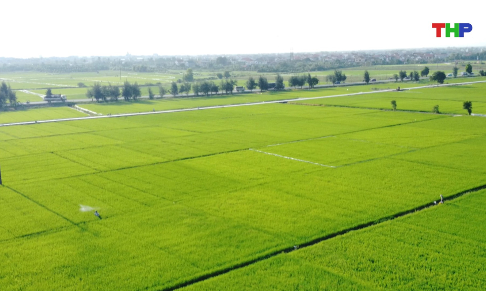 Bản tin thời sự 17h00 (13/08/2026)
