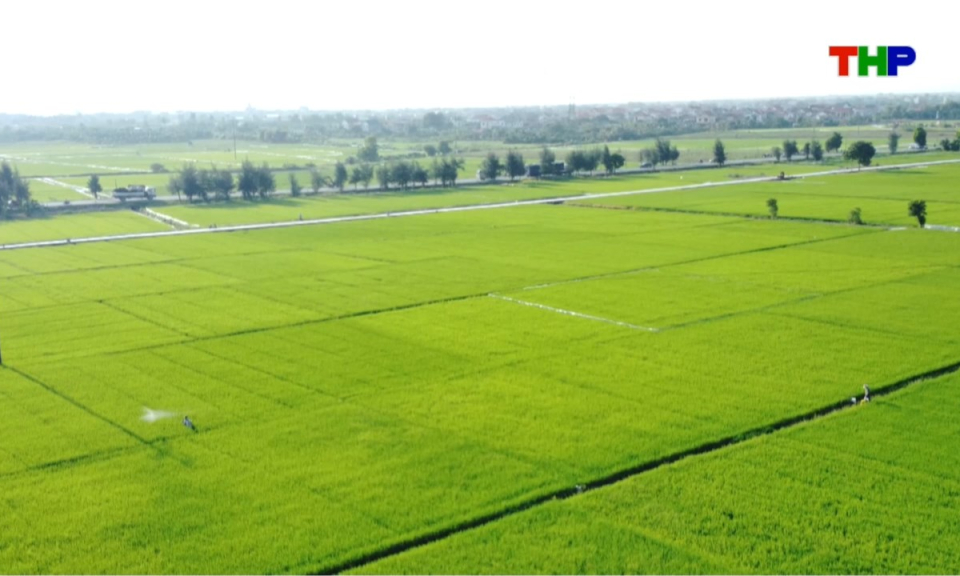 Nhịp sống 24h (13/08/2026)