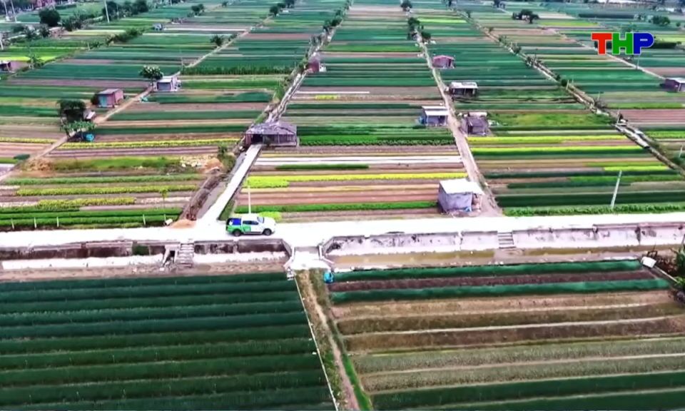Bản tin thời sự s&aacute;ng (14/08/2026)