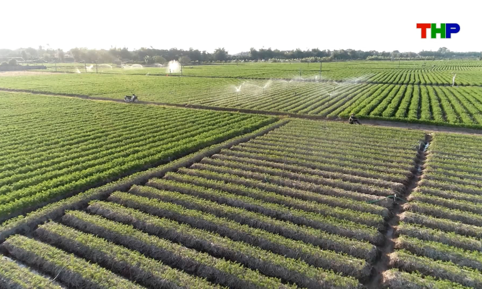 N&acirc;ng cao sức cạnh tranh cho n&ocirc;ng sản