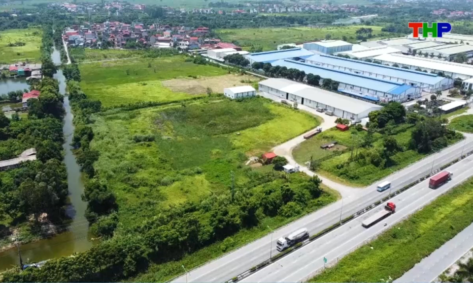 Nhịp sống 24h (14/08/2026)