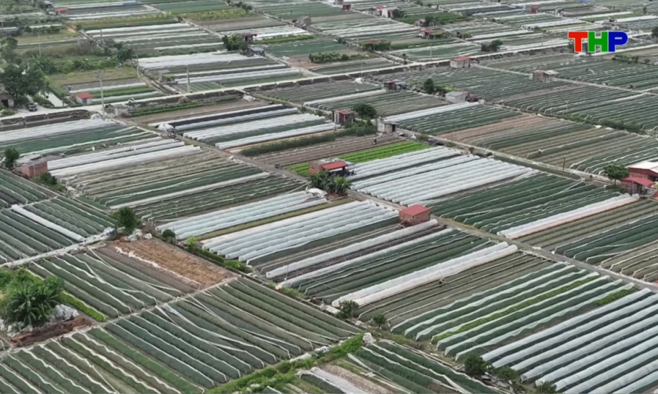 B&agrave;n tin thời sự tối (15/08/2026)