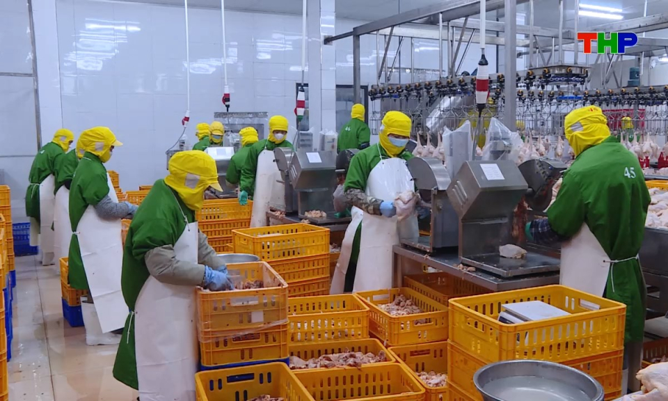 Ph&aacute;p luật v&agrave; cuộc sống: Chủ động kiểm so&aacute;t hoạt động giết mổ gia s&uacute;c, gia cầm