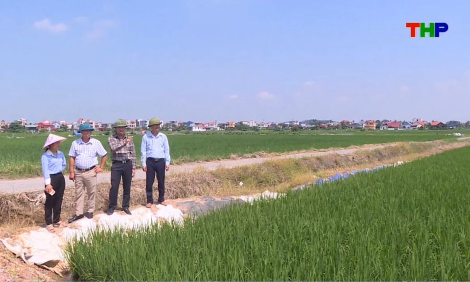 Bản tin thời sự cuối ng&agrave;y (17/08/2026)