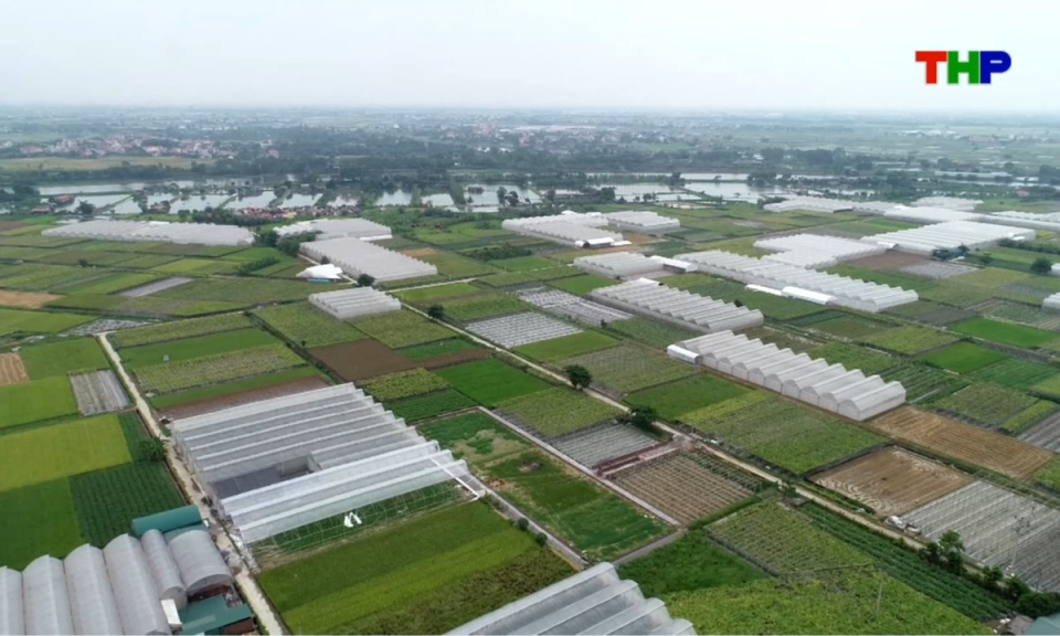 Bản tin thời sự s&aacute;ng (18/08/2026)