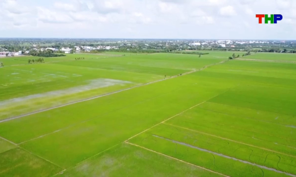 N&ocirc;ng th&ocirc;n mới Hải Ph&ograve;ng: L&uacute;a ph&aacute;t thải thấp - Hướng tới n&ocirc;ng nghiệp xanh