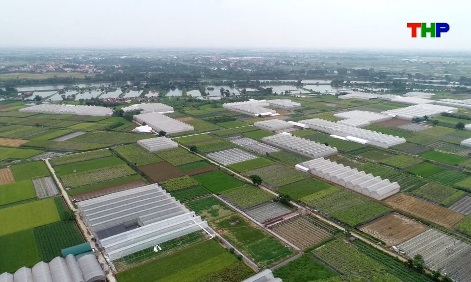 Gi&aacute; trị kinh tế cao từ m&ocirc; h&igrave;nh sản xuất trong nh&agrave; m&agrave;ng, nh&agrave; lưới