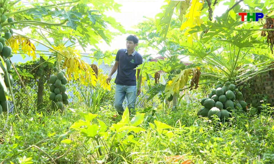 C&acirc;u chuyện của t&ocirc;i: Đ&aacute;nh thức tiềm năng từ đất