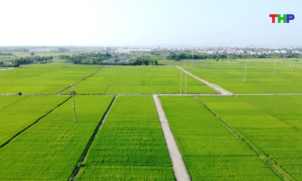 Bản tin thời sự 17h00 (20/08/2026)