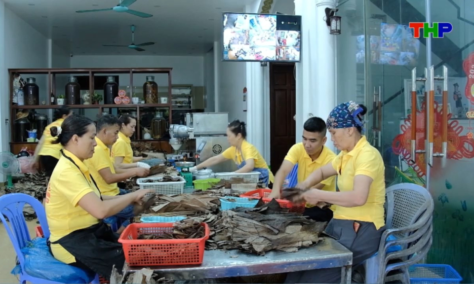 Nhịp sống 24h (21/08/2026)