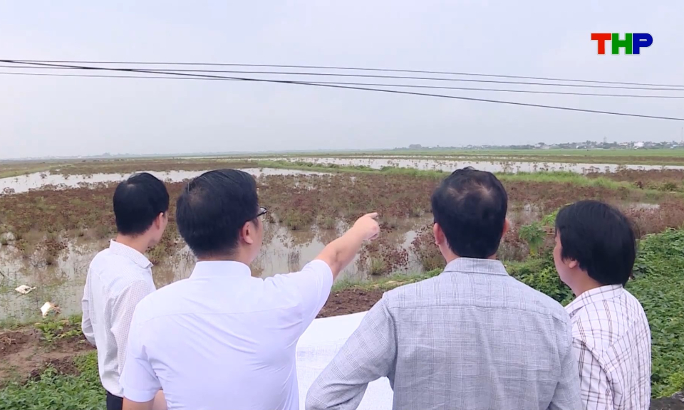 Bảo đảm tiến độ c&aacute;c dự &aacute;n khu c&ocirc;ng nghiệp
