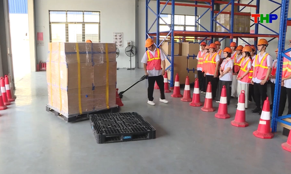 Ph&aacute;t triển nguồn nh&acirc;n lực cho ng&agrave;nh logistics 