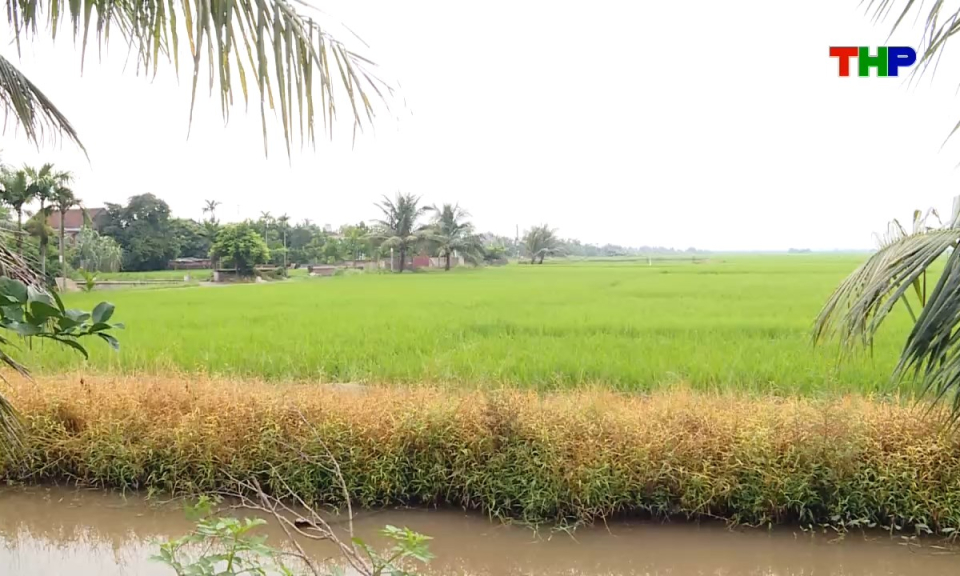 Bản tin tiếng Trung - 海防新闻 (22/08/2026)