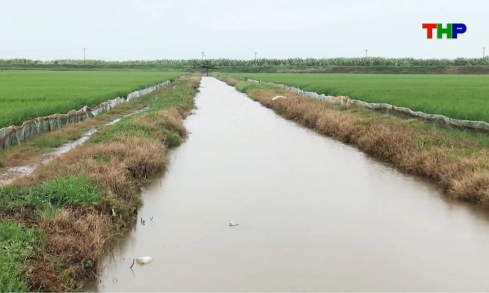 Nhịp sống 24h (23/08/2026)