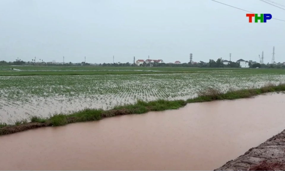 Bản tin thời sự s&aacute;ng (24/08/2026)
