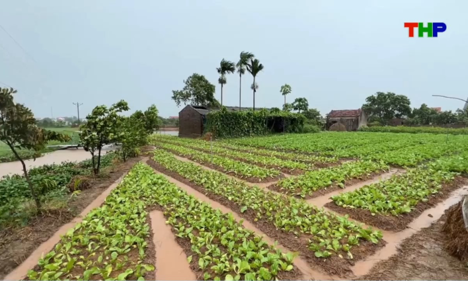 Bản tin thời sự tối (23/08/2026)