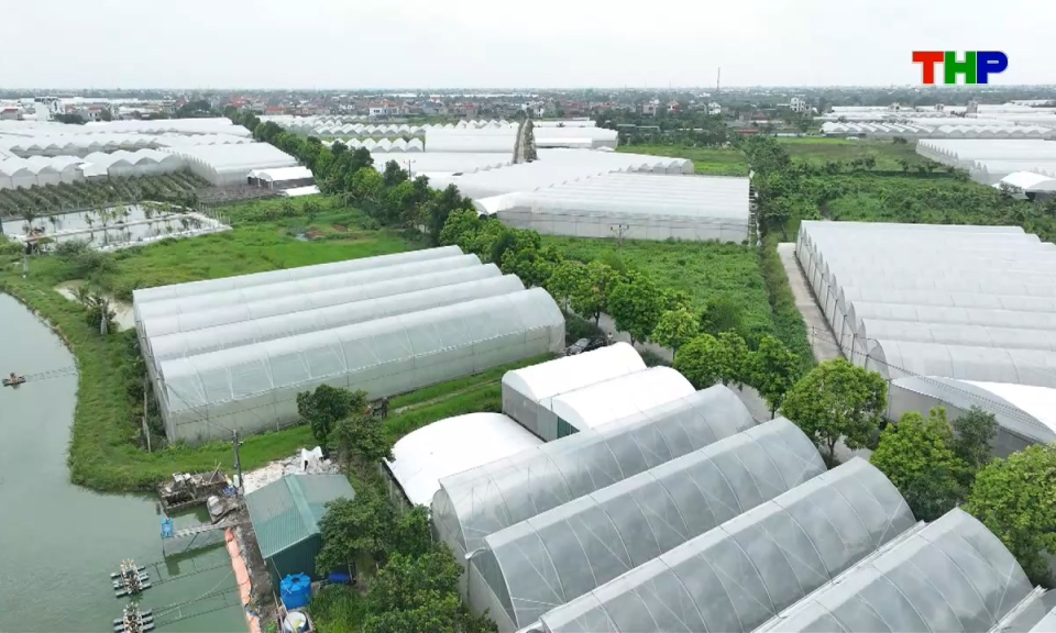 Bản tin tiếng Trung - 海防新闻 (24/08/2026)
