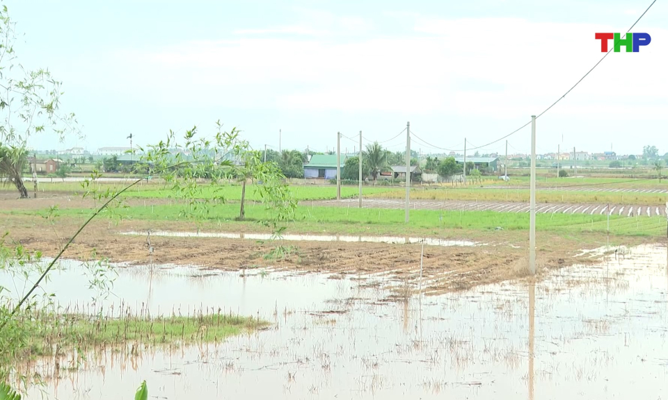 Bản tin thời sự 17h00 (25/08/2026)